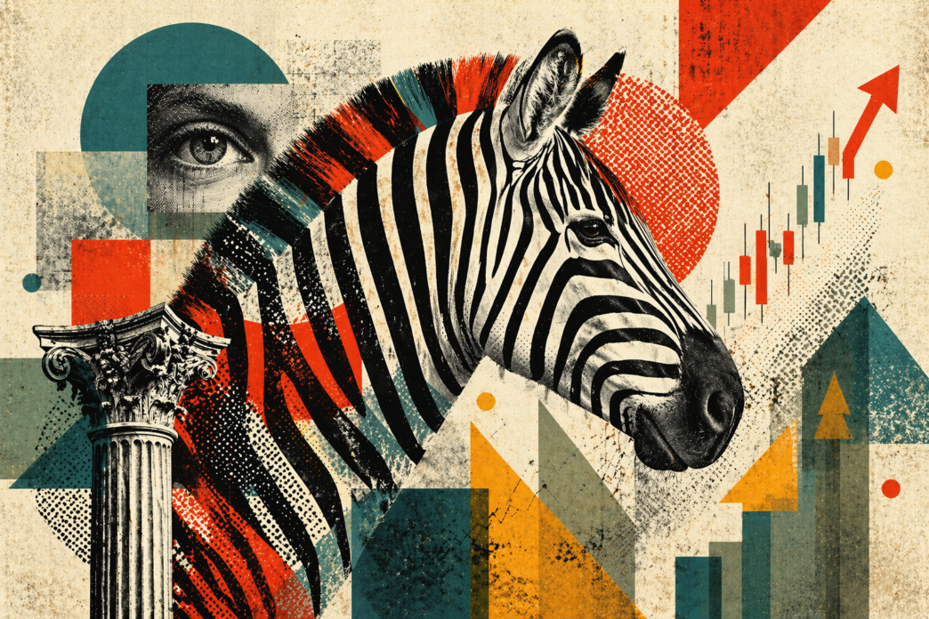 zebra options strategy